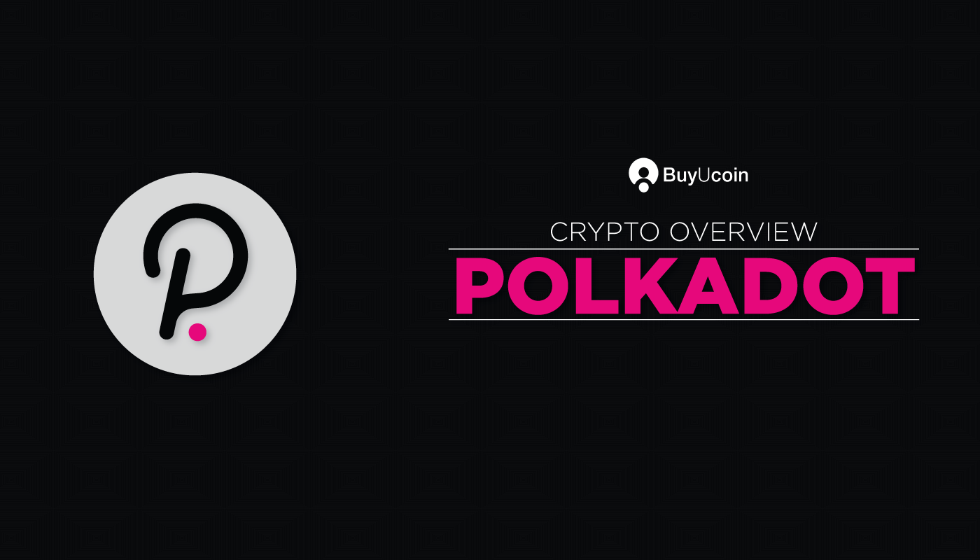 Crypto overview: Polka-dot - BuyUcoin Newsletter