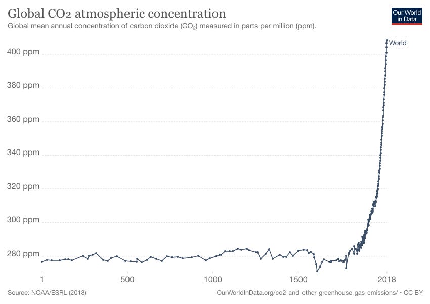 Is Beef Bad For The Environment is-beef-bad-for-the-environment