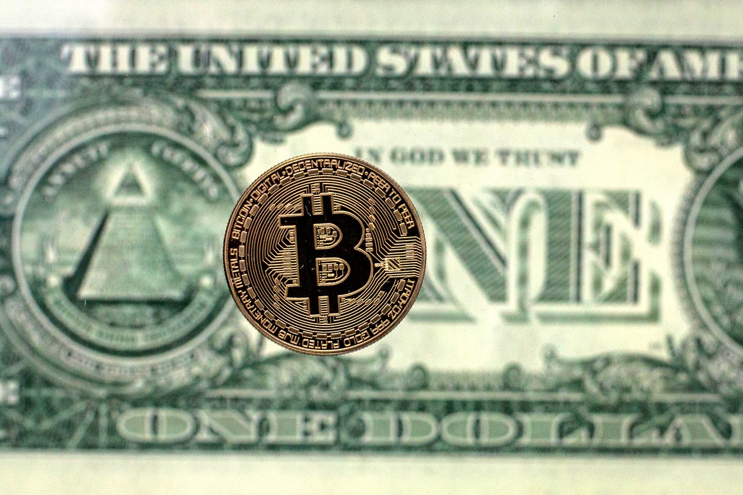 a wealth of common sense bitcoin