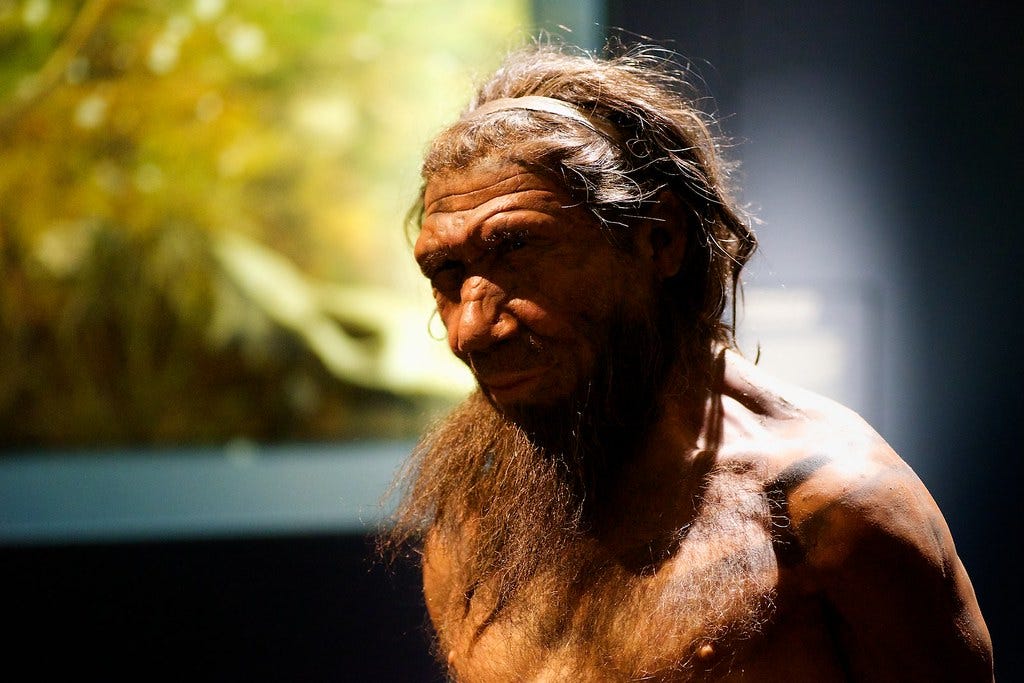 neanderthal seeks human