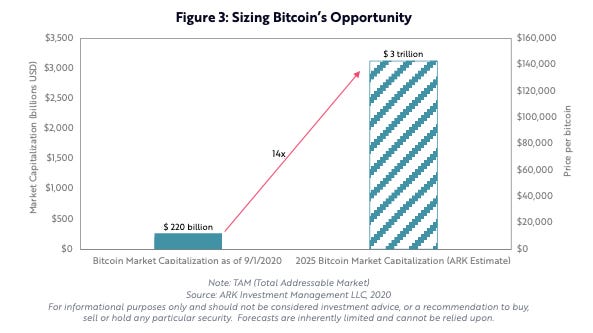 btc course year