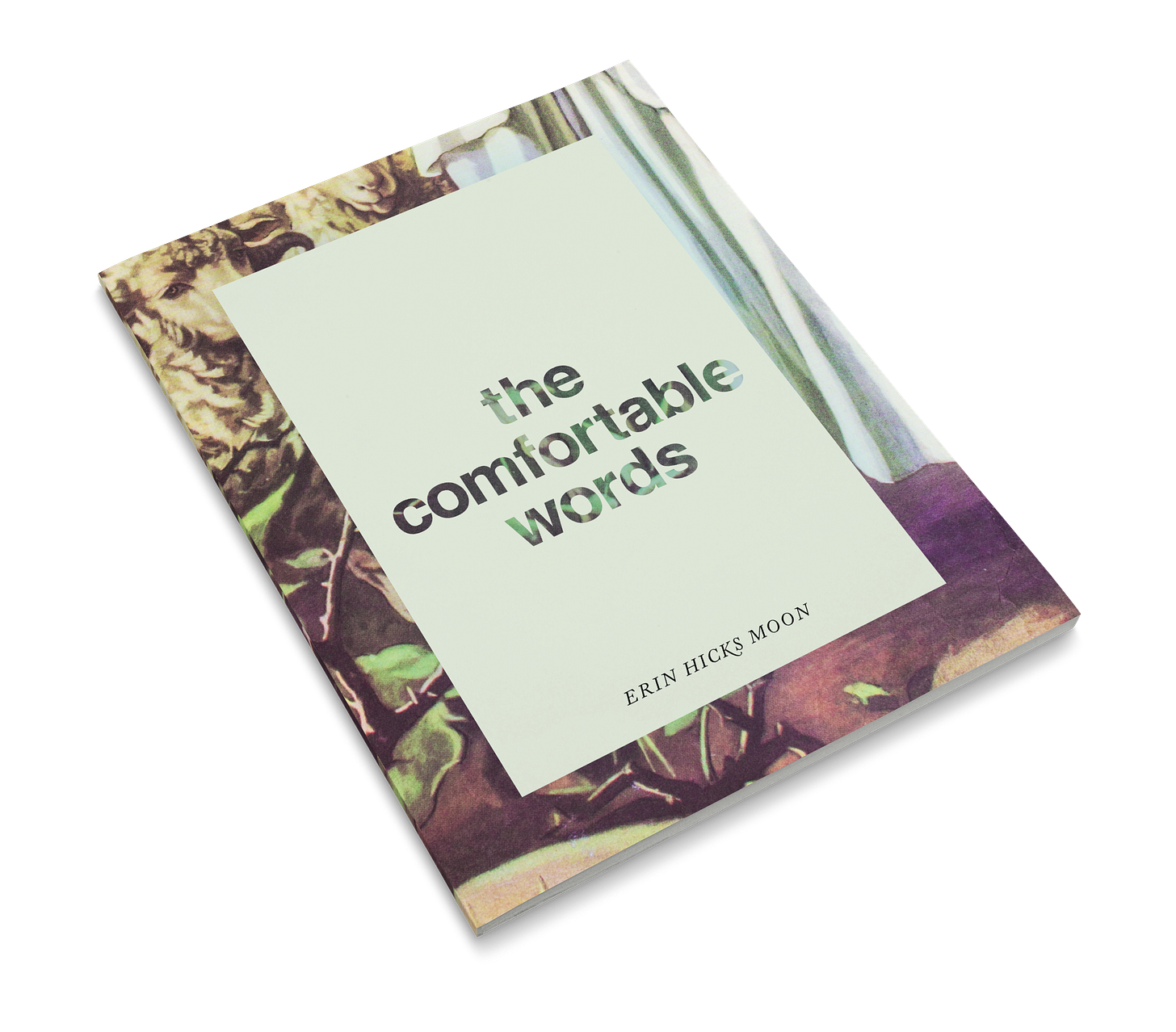 Introducing The Comfortable Words The Swipe Up A Newsletter