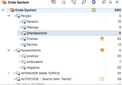 Screenshot of MaxQDA's tagged hierarchical content coding system