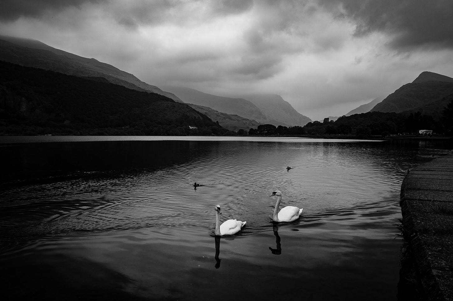 L1070609-pete-carr.jpg