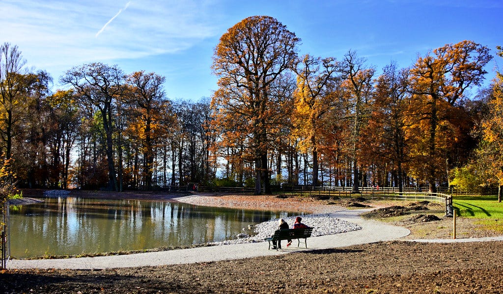 The World's newest photos of lac and sauvabelin - Flickr Hive Mind