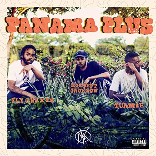 Image result for panama plus