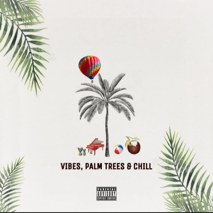 Vidarr - Music, Vibes, Palm Trees and Chill