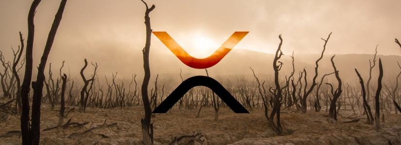 Former Ripple employee speaks out, XRP price doesnât reflect xRapid use