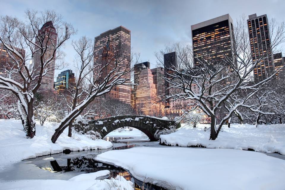 Image result for new york city weather"