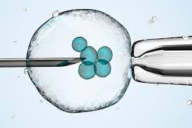 Image result for infertility