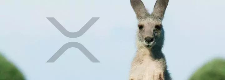 Hacker pleads guilty in Australiaās first crypto-theft bust, 100,000 XRP stolen