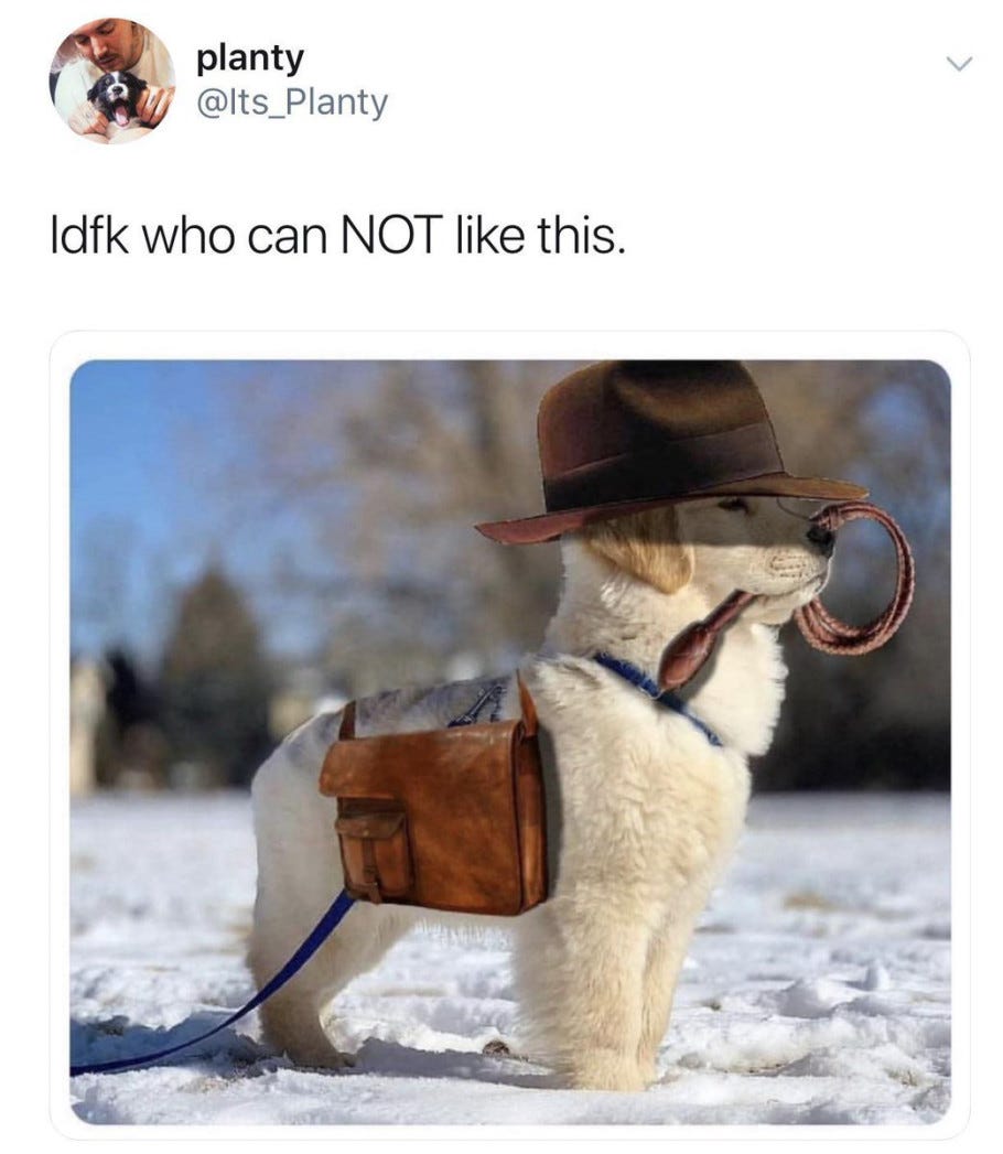 1215773359713198080.jpeg