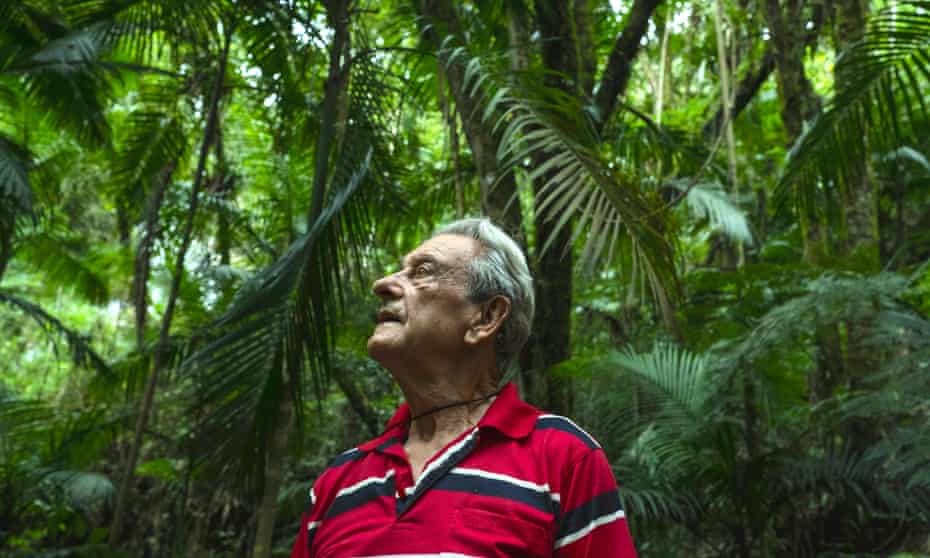 POUSO DE ROCHEDO, BRAZIL - MARCH 04, 2017: Antonio Vicente. He has spent the last 40 years reforesting his land, bringing life back to an area that was razed for cattle grazing.