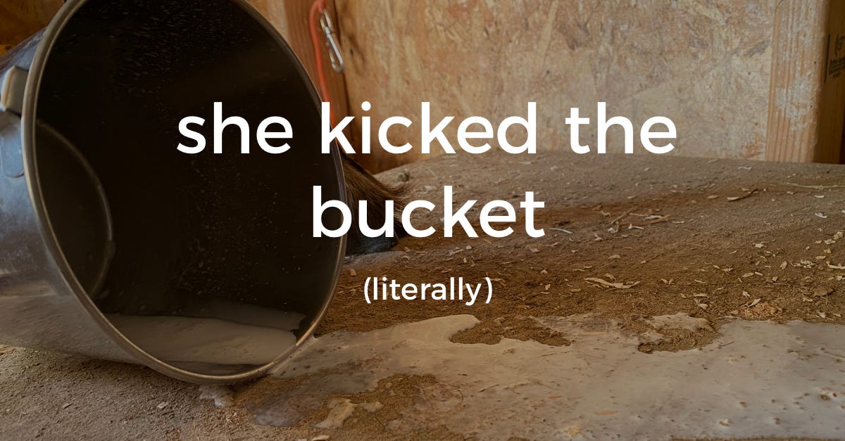 When a Goat Kicks the Bucket