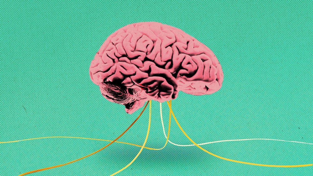 Floating Brain. Brain Float. Mental Hacking. Brains talks