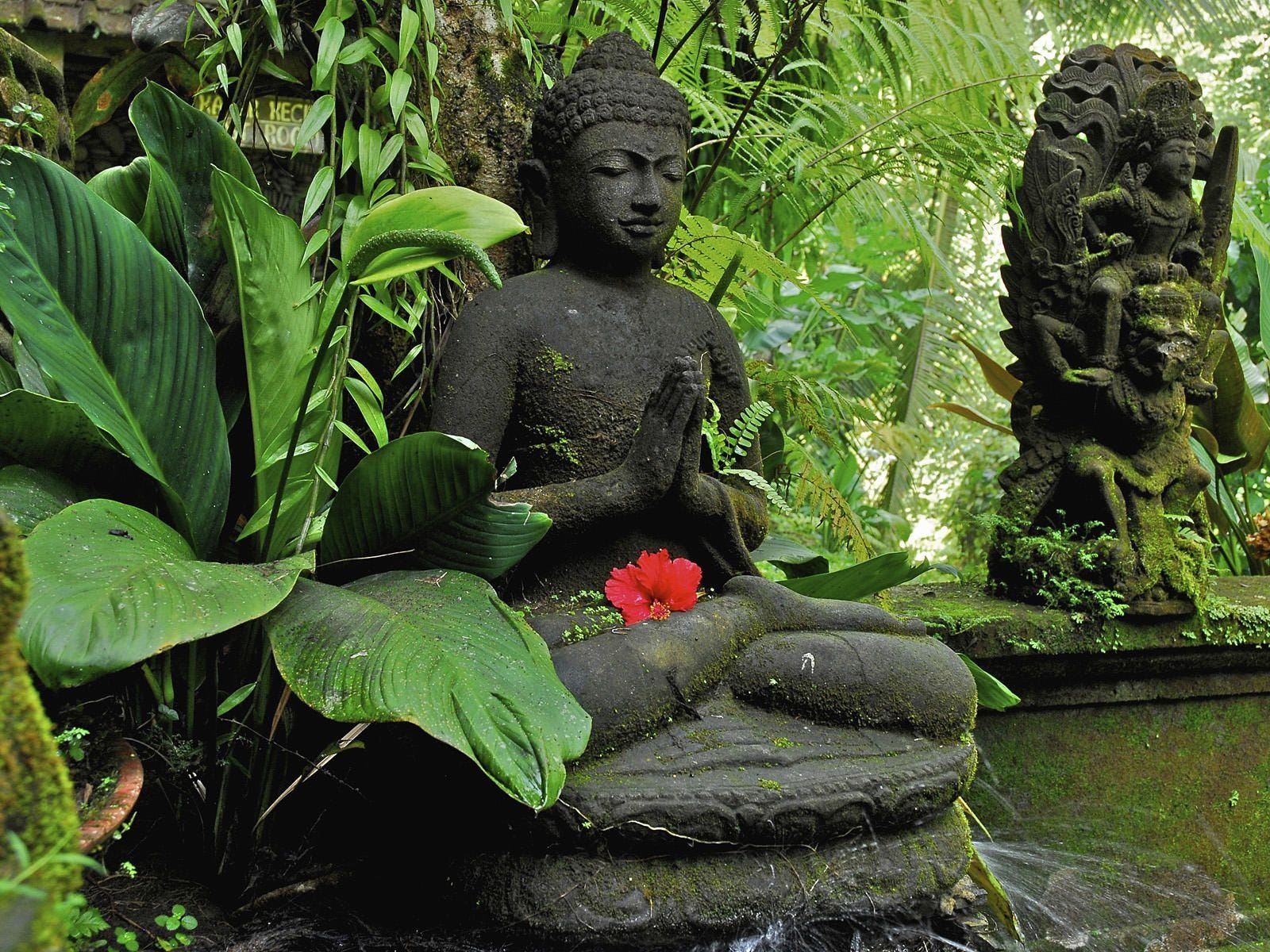 Buddha Garden Wallpapers - Top Free Buddha Garden Backgrounds -  WallpaperAccess