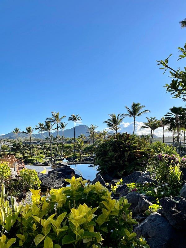 Remote work in Hawaii (Poipu)