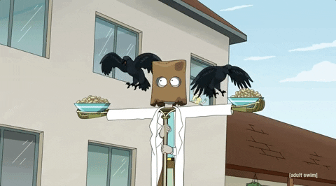 Season 5 Crows GIF by Rick and Morty