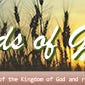 Fields of Grace Newsletter