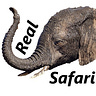 Real Safari