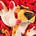 Twitter avatar for @ChesterCheetah