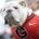 Twitter avatar for @Dawg_Post