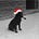 Twitter avatar for @nailheadparty