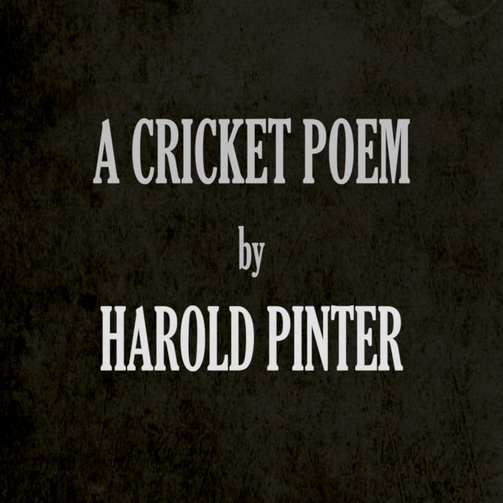 14. A Cricket Poem by Harold Pinter - by Yellow Note