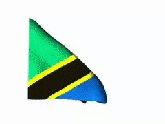 Tanzania GIF